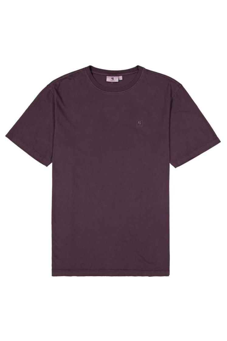  6134-raisin
