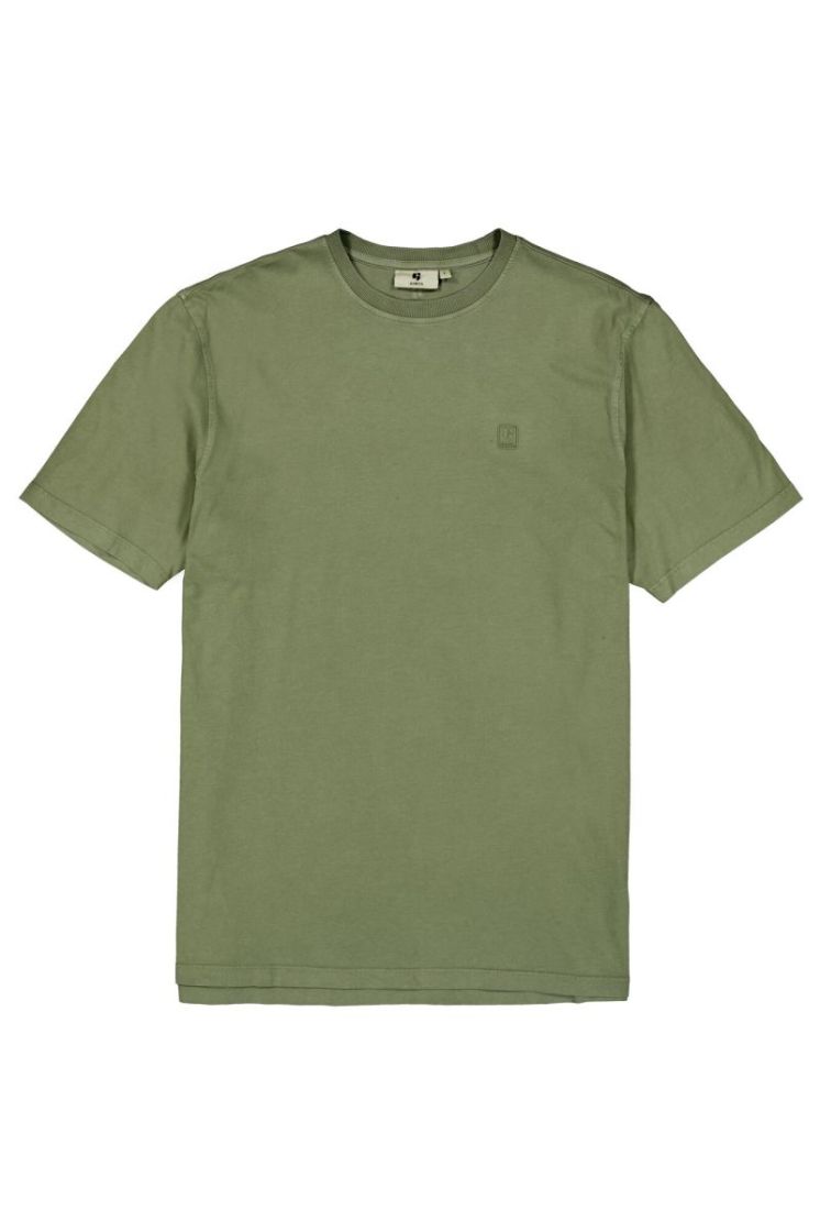  4163-sea kelp