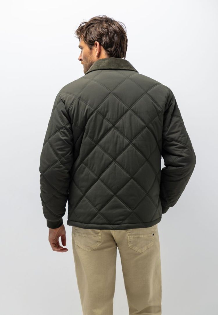  3700 mosgroen u